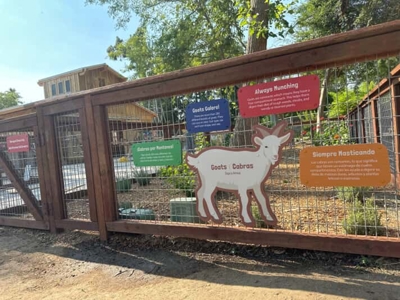 Fresno Chaffee Zoo Photo
